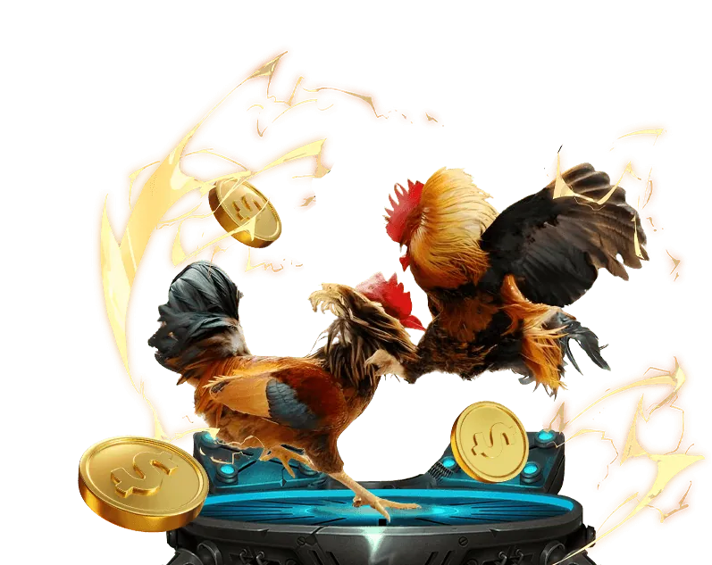 Hoàn trả cược thua 55win